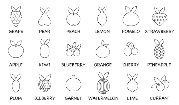 Conjunto vectorial de iconos de líneas de frutas Línea delgada Contiene frutas de uso común