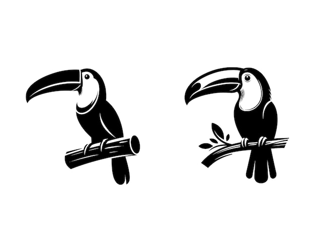Conjunto vectorial de iconos de Tucán en estilo negro sobre fondo blanco