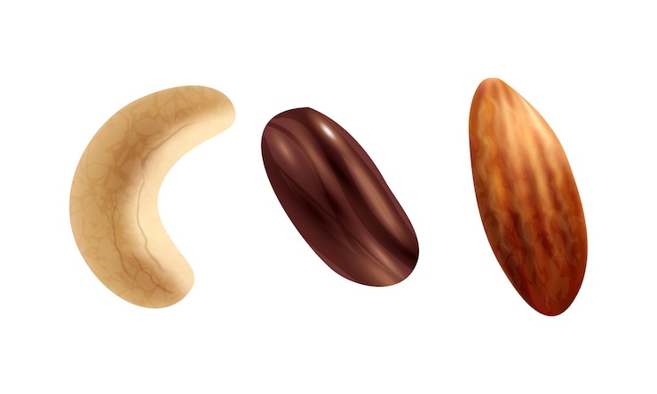 Vector conjunto vectorial de iconos vectoriales de nueces sobre fondo blanco