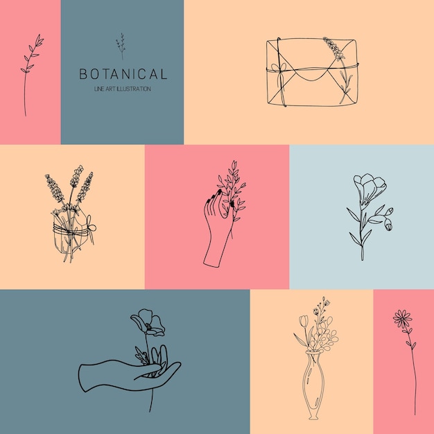 Conjunto vectorial de ilustraciones botánicas en estilo lineal mínimo