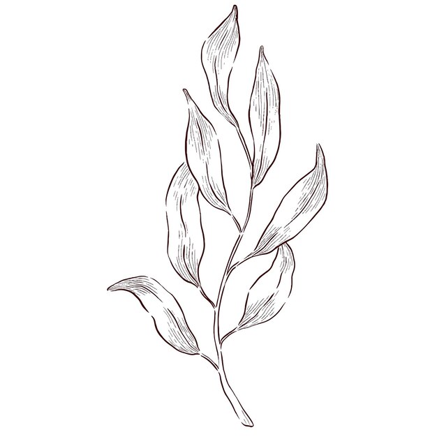Conjunto vectorial de ilustraciones de contorno con flores y hojas de piedras preciosas