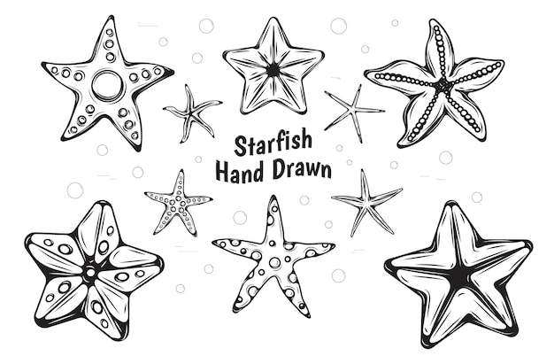 Vector conjunto vectorial de ilustraciones dibujadas a mano de estrellas de mar