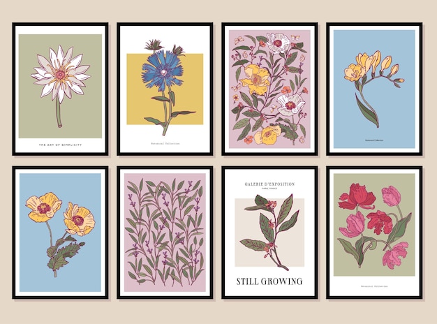 Vector conjunto vectorial de ilustraciones florales y botánicas y de hojas en un marco de cartel