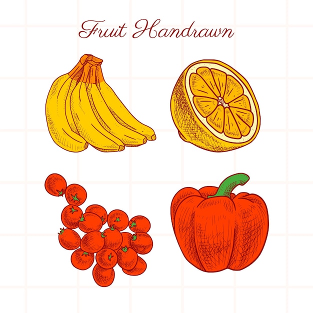 Conjunto vectorial de ilustraciones de frutas dibujadas a mano de diferentes colores (plátano, rodaja de limón, uva, paprika)