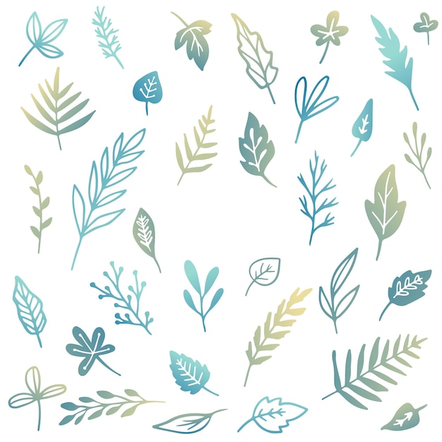 Conjunto vectorial de ilustraciones planas de hojas de árboles de plantas