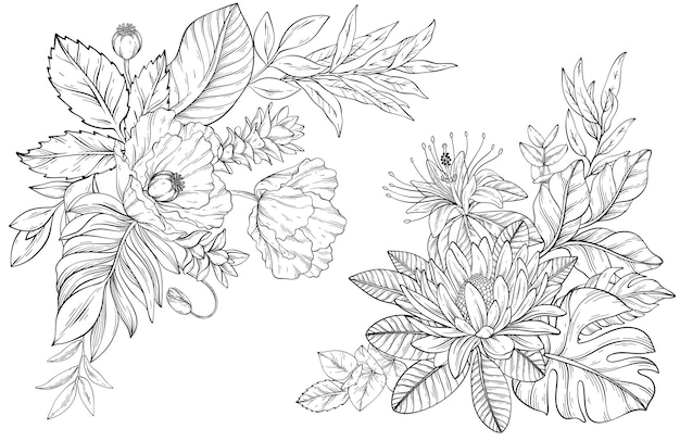 Conjunto vectorial de líneas de arte de flores tropicales dispuestas