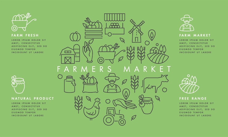 Conjunto vectorial de logotipos, insignias e iconos para productos agrícolas y sanitarios naturales. Símbolo de colección de alimentos orgánicos y cultivados localmente. Ilustración conceptual para el mercado de agricultores. infografía.