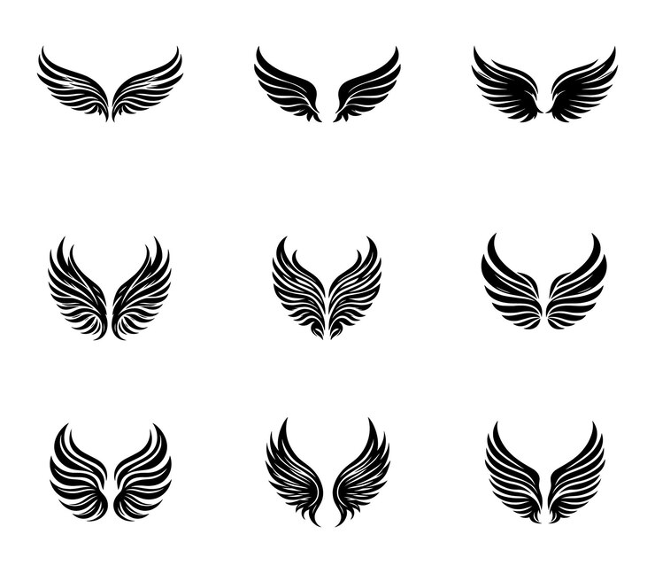 Conjunto vectorial de logotipos de silueta de alas Conjunto de iconos vectoriales de alas Insignias de alas Colección de insignias de aletas