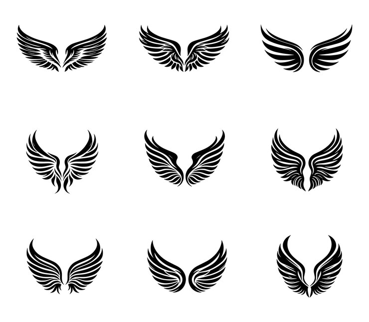 Conjunto vectorial de logotipos de silueta de alas Conjunto de iconos vectoriales de alas Insignias de alas Colección de insignias de aletas