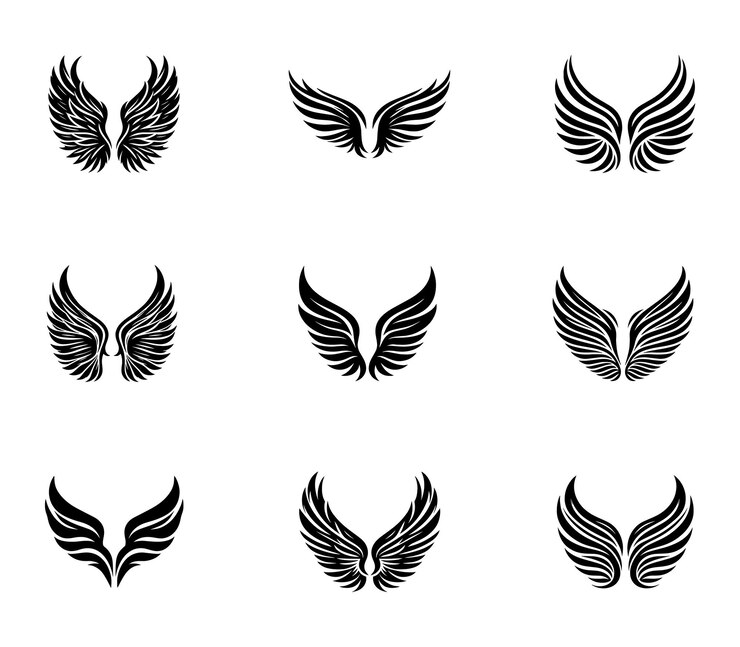 Conjunto vectorial de logotipos de silueta de alas Conjunto de iconos vectoriales de alas Insignias de alas Colección de insignias de aletas