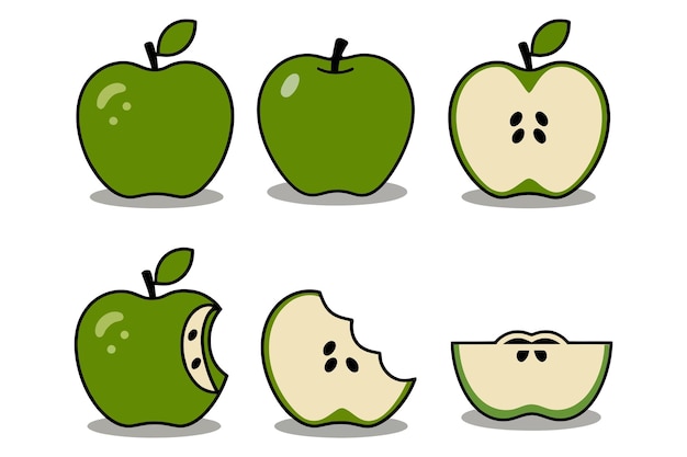 Conjunto vectorial de manzanas verdes frescas enteras y cortadas Ilustración de manzanas para frutas alimenticias