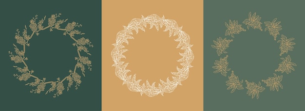 Conjunto vectorial de marcos de diseño e ilustraciones botánicas en estilo boho lineal simple