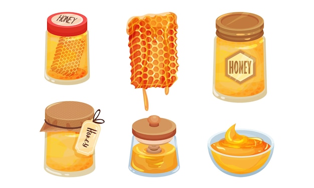 Conjunto vectorial de miel azucarada en frascos y peine de miel