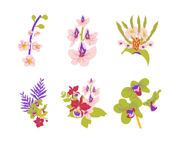 Conjunto vectorial de orquídeas decorativas dibujadas a mano aisladas sobre fondo blanco