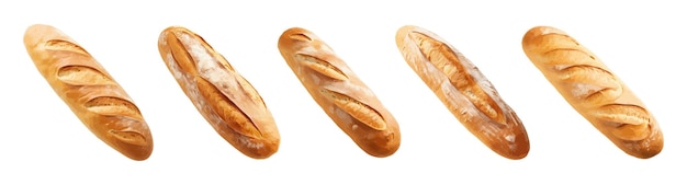 Vector conjunto vectorial de pan francés aislado sobre fondo blanco