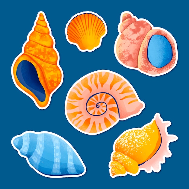 Vector conjunto vectorial de pegatinas coloridas dibujadas a mano con conchas marinas