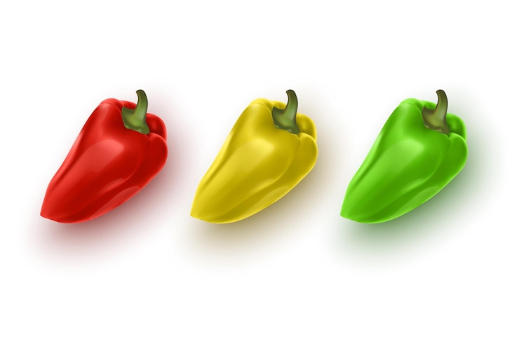 Vector conjunto vectorial de pimientos búlgaros dulces de color amarillo, verde y rojo, pimentón aislado en fondo blanco
