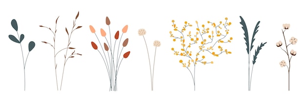 Conjunto vectorial de plantas boho dibujadas a mano