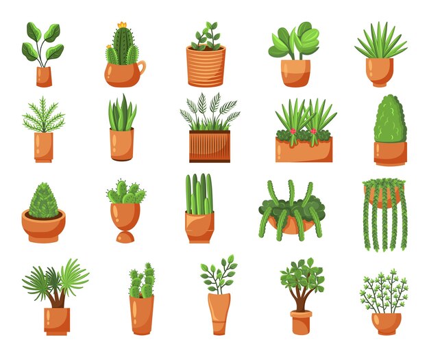 Conjunto vectorial de plantas coloridas en macetas Ilustración para amantes de la naturaleza y jardineros
