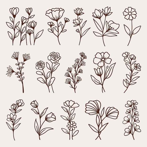 conjunto vectorial de plantas dibujado a mano