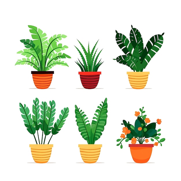 Conjunto vectorial de plantas de interior Planta de interior en una olla de flores moderna
