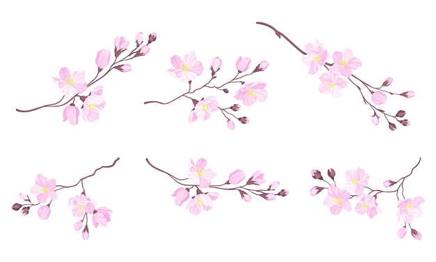 Vector conjunto vectorial de ramas de cereza en flor con flores rosadas tiernas