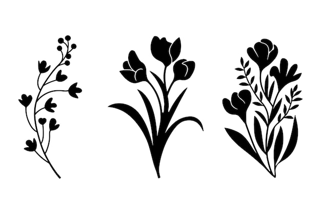 Conjunto vectorial de silueta floral Flores elegantes Hojas y elementos botánicos