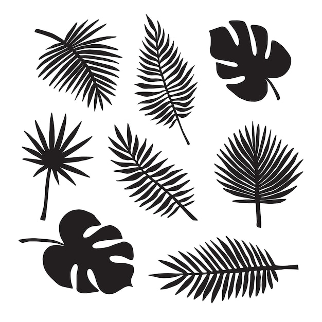 Conjunto vectorial de silueta de hoja de palma y monstera