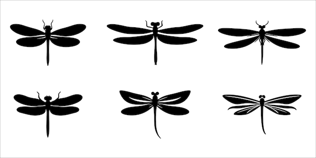 Conjunto vectorial de silueta de libélula Iconos de insectos elegantes para la naturaleza y el diseño