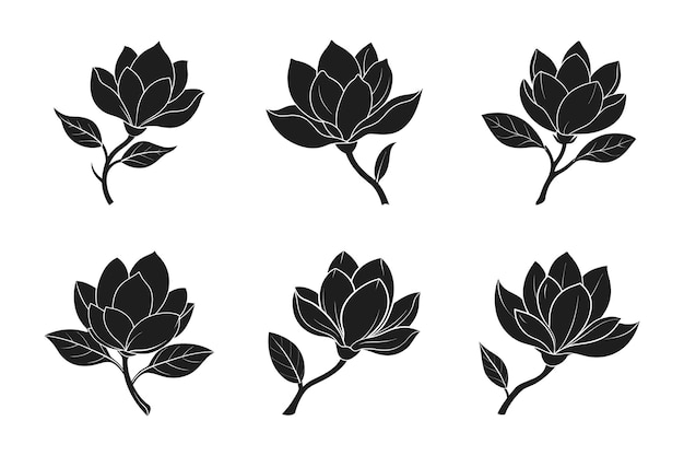 Conjunto vectorial de silueta de magnolia Ilustración floral elegante de primavera