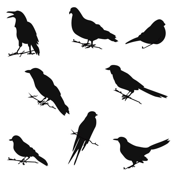 conjunto vectorial de silueta de pájaro en estilo plano varios estilos y formas se posan en una rama,