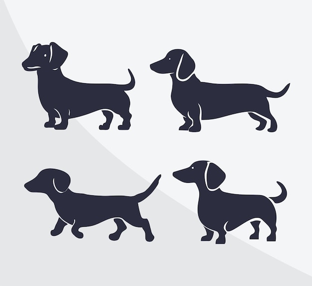 Conjunto vectorial de silueta de perro de raza Dachshund