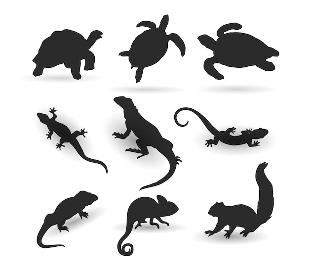 Vector conjunto vectorial de siluetas de animales, tortugas, dragones de komodo, lagartos, iguanas y ardillas