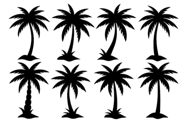 Conjunto vectorial de siluetas de palmeras