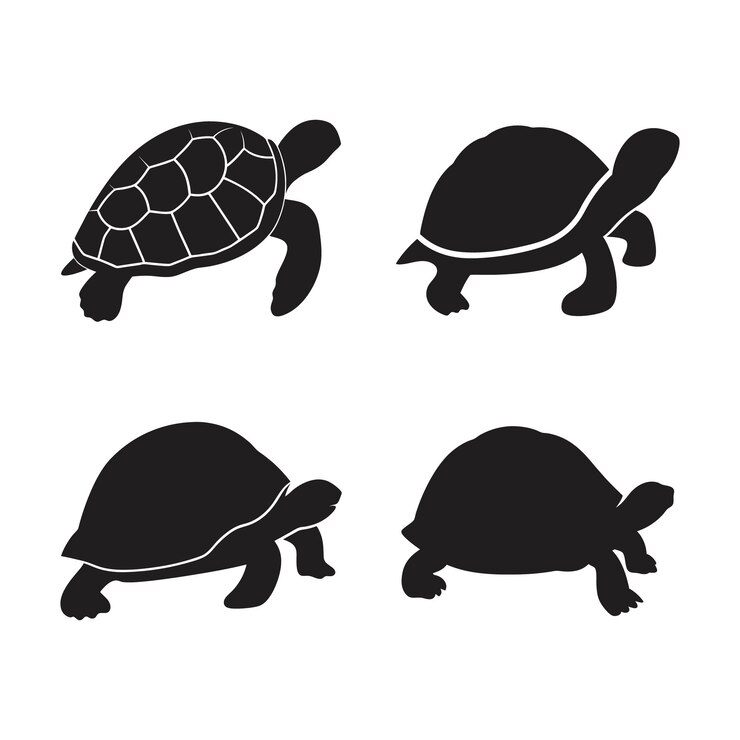 Conjunto vectorial de siluetas de tortugas