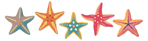 Conjunto vectorial de simpáticas estrellas de mar de colores