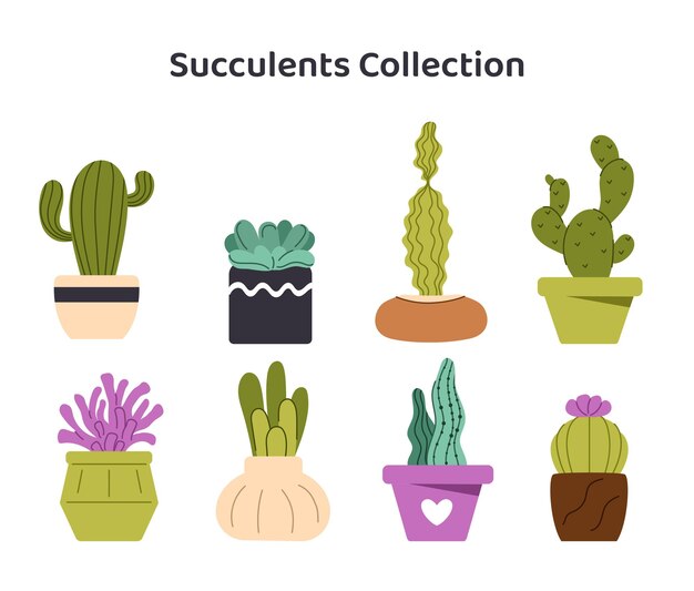 Conjunto vectorial de suculentas y plantas
