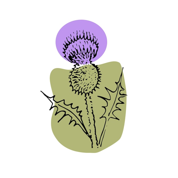 Conjunto vectorial de tinta dibujo flores silvestres ilustración botánica artística elementos florales aislados ilustración vectorial dibujada a mano