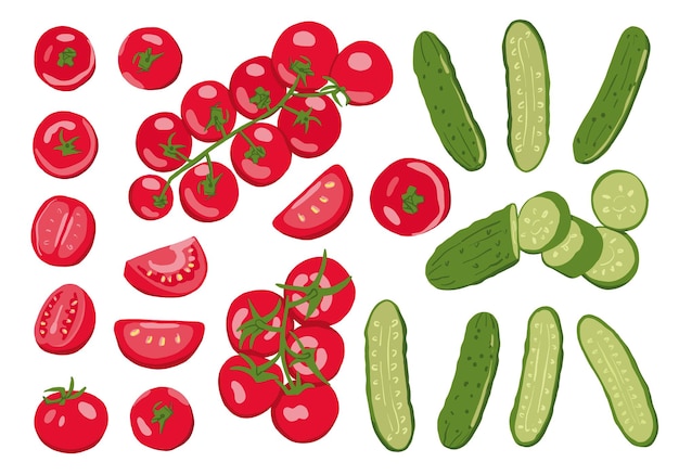 Conjunto vectorial de tomates cereza y pepinos aislados en fondo blanco