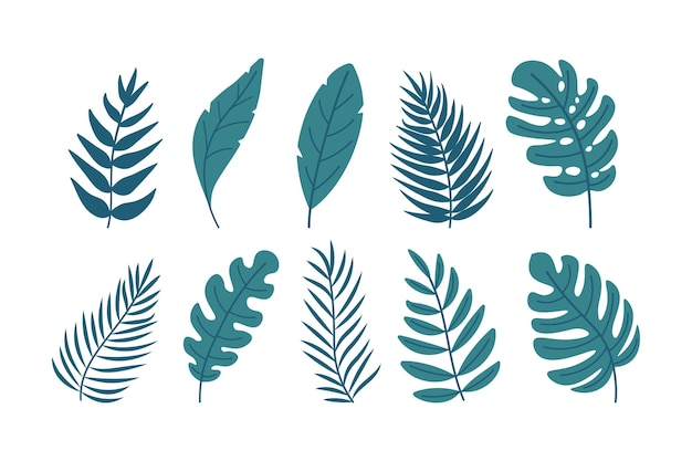 Conjunto vectorial de verano de elementos botánicos tropicales