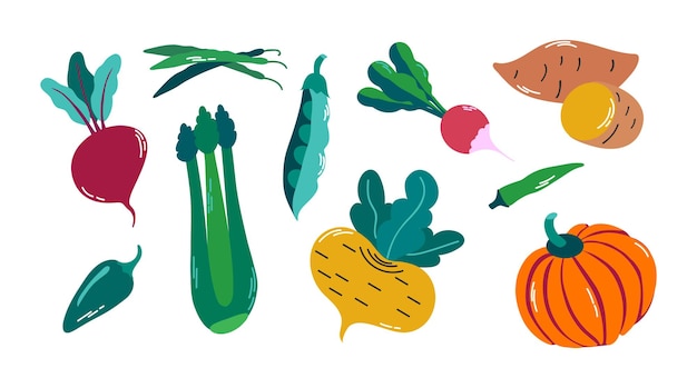 Conjunto vectorial de verduras alimentos vegetarianos saludables y frescos ilustración de icono de clip