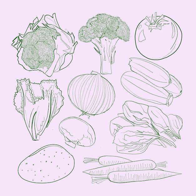 Conjunto vectorial de verduras