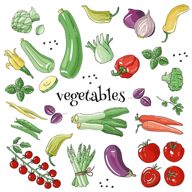 Conjunto de vegetales de dieta mediterránea aislado sobre fondo blanco