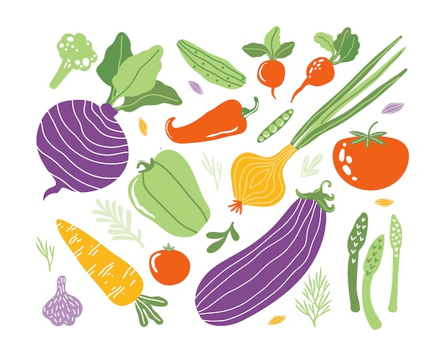 Conjunto con vegetales de doodle colorido dibujado a mano en estilo orgánico de moda. Iconos planos de verduras: pepino, zanahoria, cebolla, tomate, remolacha, brócoli, pimiento. Comida vegetariana saludable. Productos agrícolas