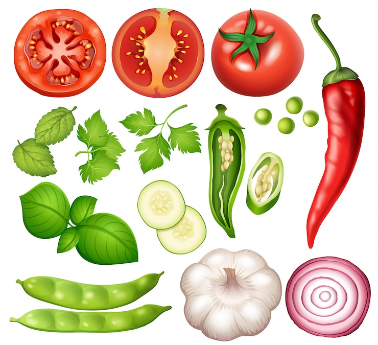 Vector un conjunto de vegetales sobre fondo blanco