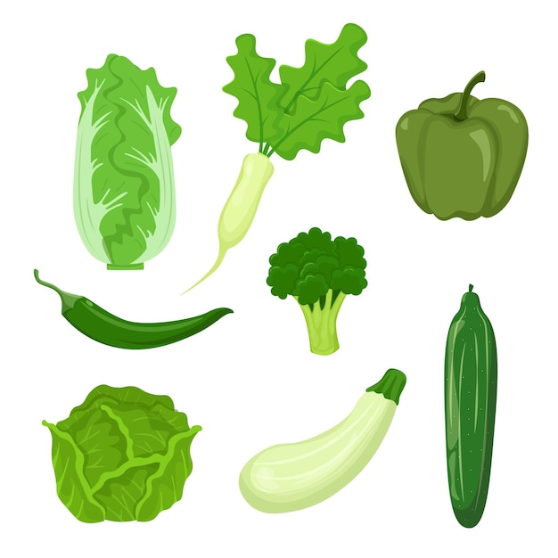 Vector conjunto, de, vegetales verdes, aislado, blanco, plano de fondo