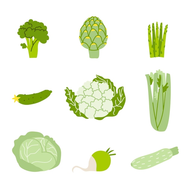 Vector conjunto de vegetales verdes ilustración vectorial de alimentos saludables aislado sobre fondo blanco.