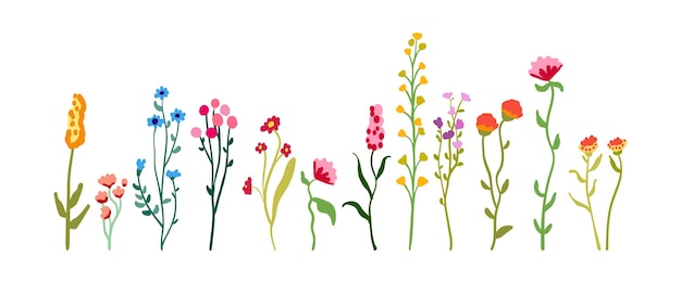 Conjunto de verano de delicadas flores silvestres graciosas en tallos altos con elementos florales minimalistas de follaje