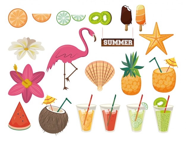 Conjunto de verano, playa, elementos, frutas, flamencos y bebidas.