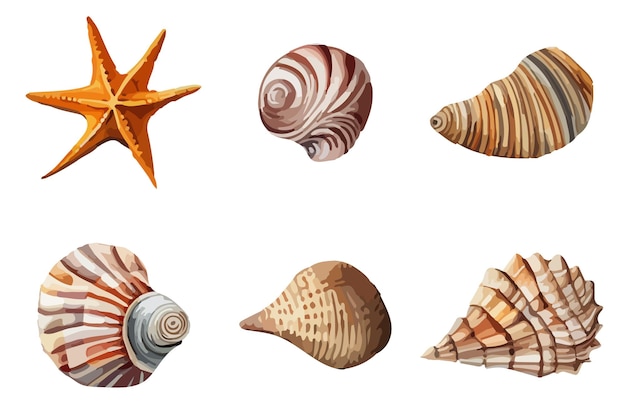 Conjunto de verano vectorial Ilustración de acuarela de concha marina Diseño de elementos submarinos dibujados a mano